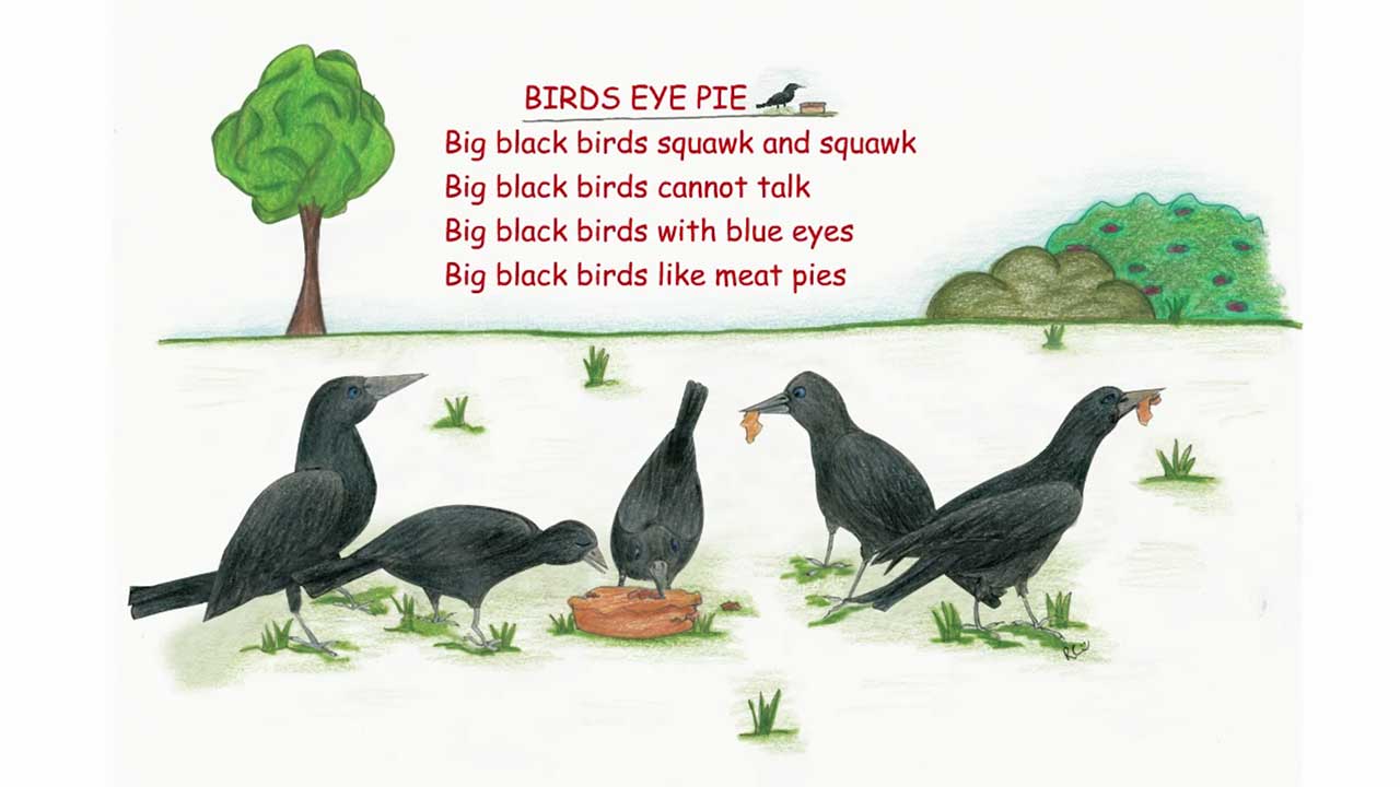 Big Black Birds
