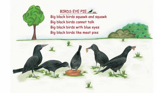 Bird’s Eye Pie